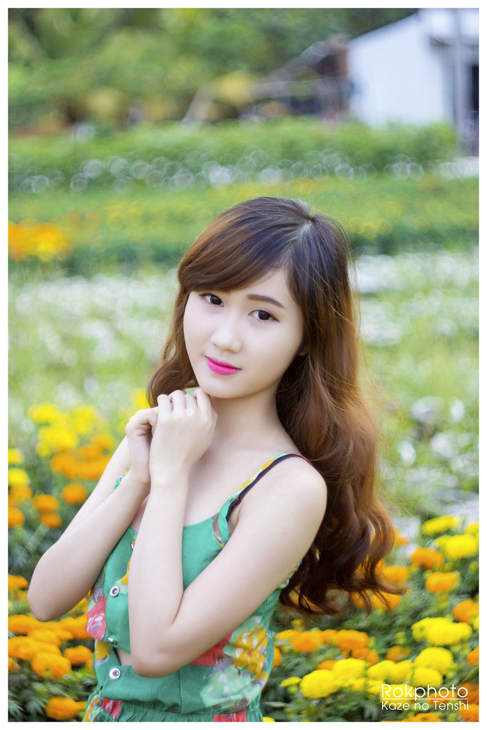 落花时节又逢君全集免费观看